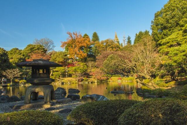 The Japanese garden in fall