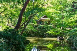 Japanese garden at Rikugien