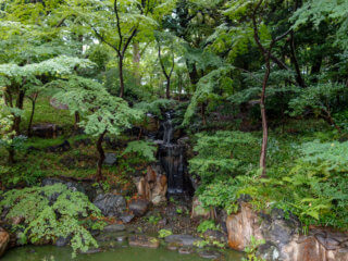 The water fall at the Japanese garden