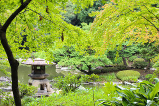 The Japanese garden of Kyu-Furukawa Gardens