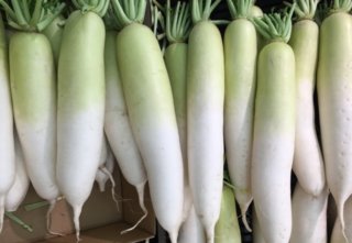 Daikon