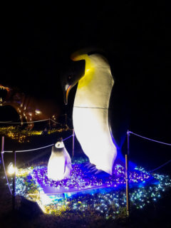 Art of penguin family in Shinrin Park