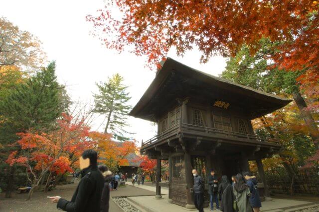 Heirin-ji main gate in fall