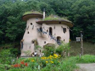 The mushroom house