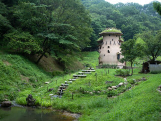 The mushroom house and stairs