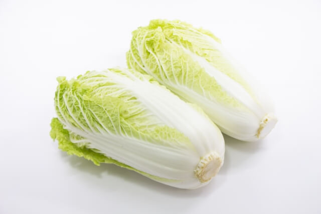 Hakusai: Chinese Cabbage